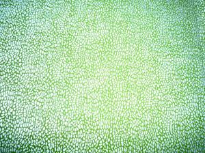 豹纹图案绿色反光布